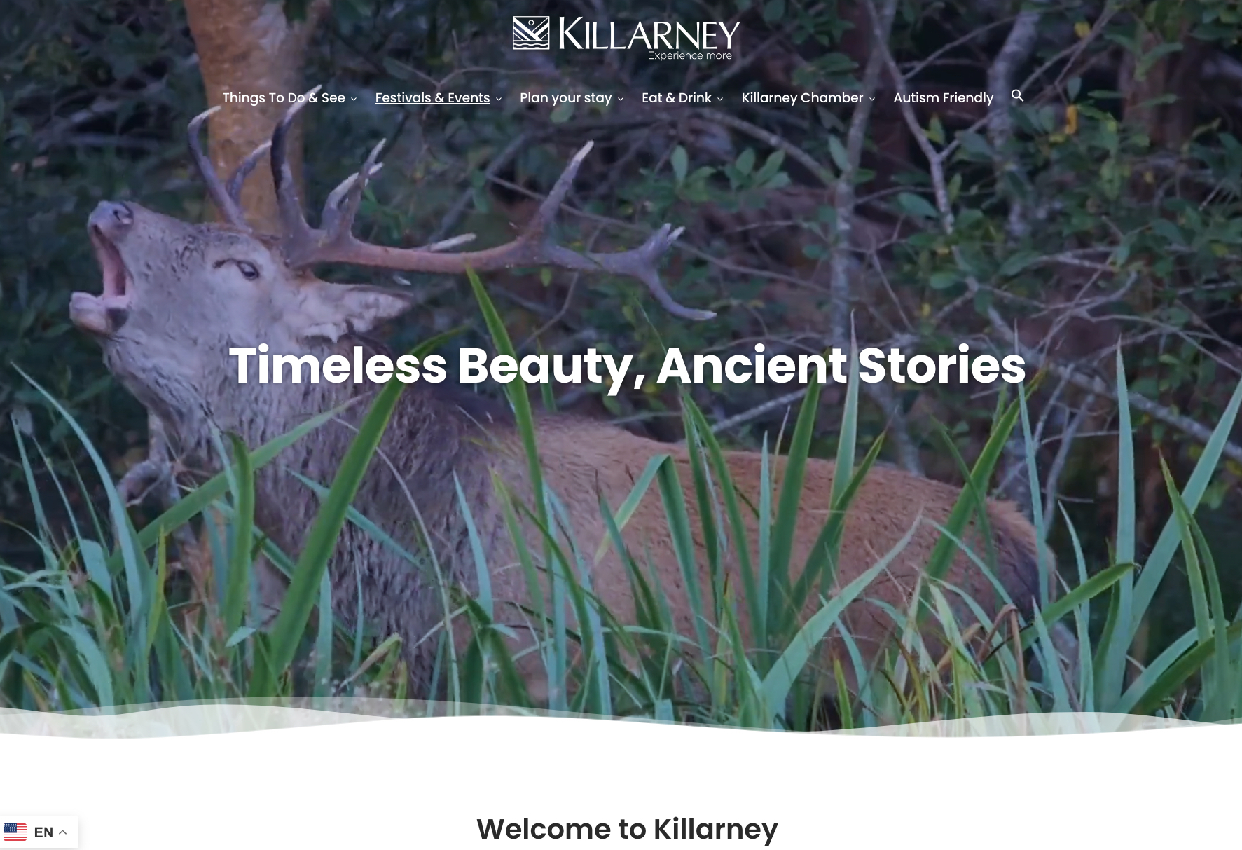Killarney-Web-Design